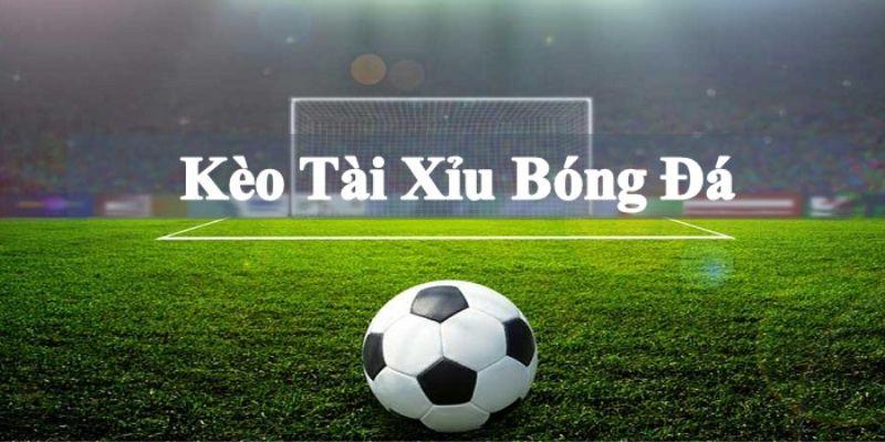 Bắt buộc lựa chọn các nhà cái uy tín đáng tin cậy